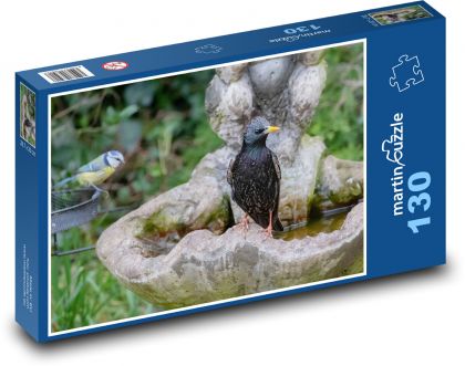 Seestern - Schwimmen, Wasser - Puzzle - 130 Teile