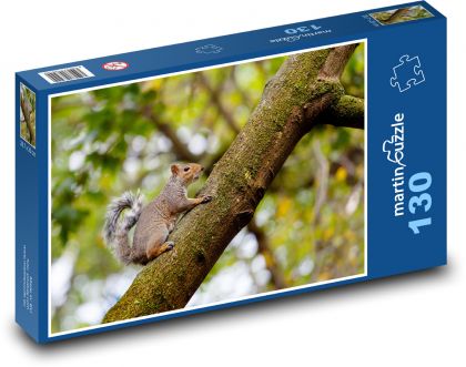 Eichhörnchen auf einem Baum - Nagetier, graues Eichhörnchen - Puzzle - 130 Teile