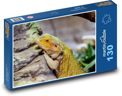 Agama - fúzatý drak, plaz - Puzzle 130 dielikov, rozmer 28,7x20 cm 