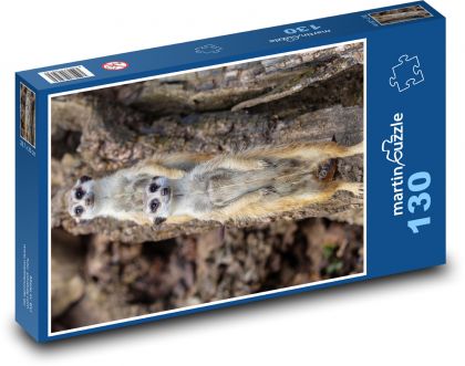 Surykatka z bliska - oglądanie, zwierzę - Puzzle 130 elementów, rozmiar 28,7x20 cm