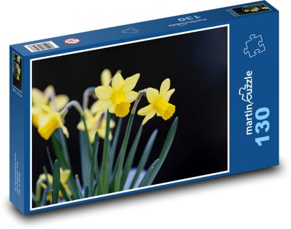 Daffodils - yellow flowers, spring - Puzzle 130 pieces, size 28.7x20 cm 