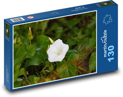 Svlačec - bílý květ, rostlina - Puzzle 130 dílků, rozměr 28,7x20 cm