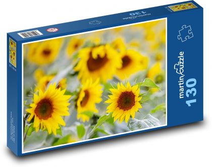 Pole slunečnic - žluté květy, pole - Puzzle 130 dílků, rozměr 28,7x20 cm