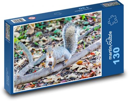 Šedá veverička - zviera, hlodavec - Puzzle 130 dielikov, rozmer 28,7x20 cm 