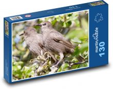Škorec - vták, perie Puzzle 130 dielikov - 28,7 x 20 cm