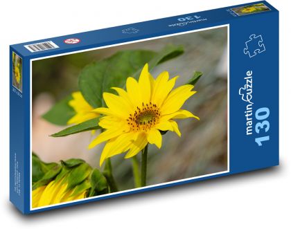 Slnečnica - žltý kvet, kvetina - Puzzle 130 dielikov, rozmer 28,7x20 cm 
