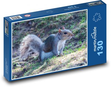 Squirrel - cute, wild - Puzzle 130 pieces, size 28.7x20 cm 