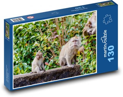 Opice v džungli - makak, strom - Puzzle 130 dílků, rozměr 28,7x20 cm
