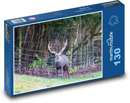 Divoký jelen - parohy, les - Puzzle 130 dílků, rozměr 28,7x20 cm