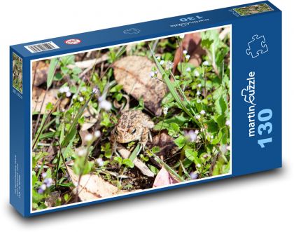 Žaba v tráve - obojživelník, ropucha - Puzzle 130 dielikov, rozmer 28,7x20 cm 