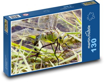 Vážka císařská - hmyz, křídla - puzzle 130 dílků