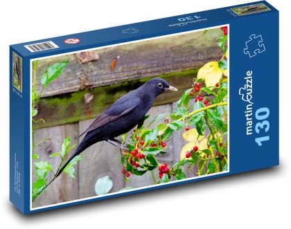 Kos čierny - vták, zobák - Puzzle 130 dielikov, rozmer 28,7x20 cm 