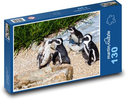 Tučňák brýlový - pták, zvíře  - Puzzle 130 dílků, rozměr 28,7x20 cm