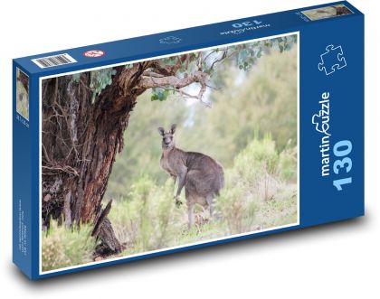 Klokan šedivý - Austrálie, zvíře - puzzle 130 dílků