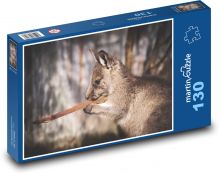 Kangaroo - young, Australia Puzzle 130 pieces - 28.7 x 20 cm 