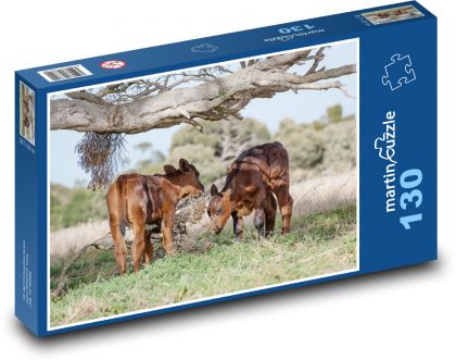 Weidende Kälber - junge Kühe, Rinder - Puzzle - 130 Teile