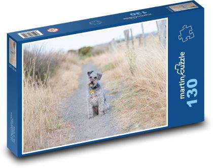 Schnoodle - domácí mazlíček, pes - puzzle 130 dílků