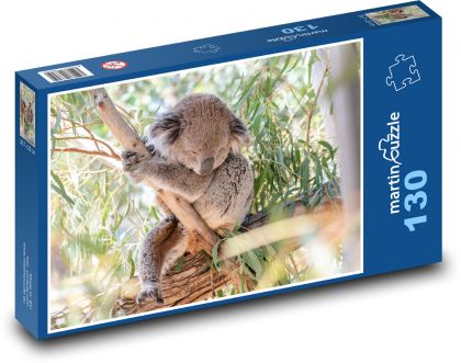 Koala na stromě - vačnatec, býložravec - Puzzle 130 dílků, rozměr 28,7x20 cm