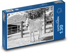 Australský poník - kůň, zvíře Puzzle 130 dílků - 28,7 x 20 cm