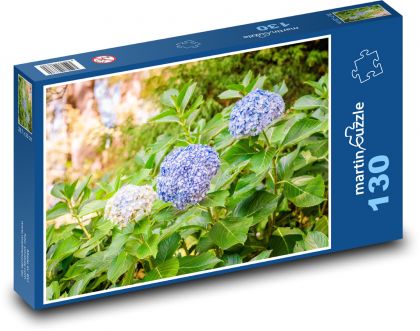 Kvet hortenzie - rastlina, kvetina - Puzzle 130 dielikov, rozmer 28,7x20 cm 
