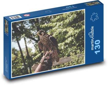 Falcon - bird, predator - Puzzle 130 pieces, size 28.7x20 cm 