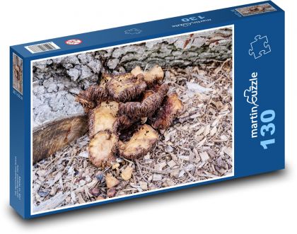 Mushroom - nature, forest - Puzzle 130 pieces, size 28.7x20 cm 