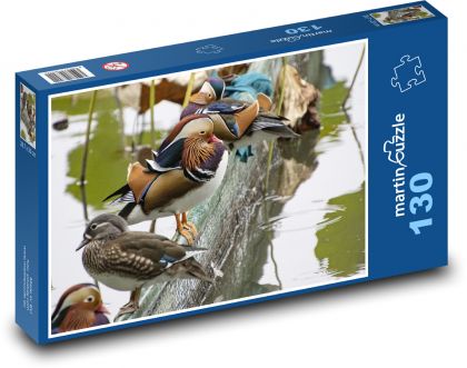 Kachny - vodní ptáci, rybník - puzzle 130 dílků