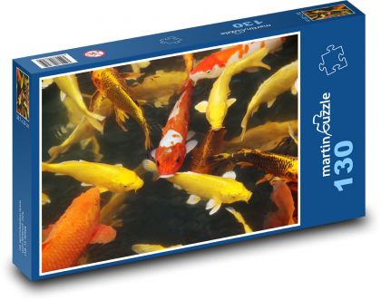 Koi ryby - rybník, voda - puzzle 130 dílků