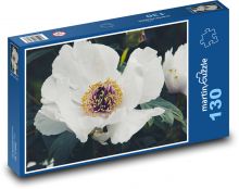 Pivoňka bílá - okvětní lístky, květ Puzzle 130 dílků - 28,7 x 20 cm