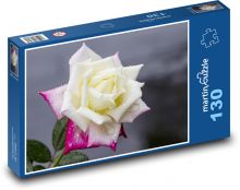 Květ růže - květina, růžový květ  Puzzle 130 - 28,7x20 cm