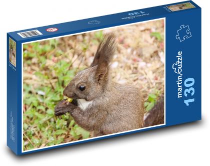 Squirrel - rodent, wildlife - Puzzle 130 pieces, size 28.7x20 cm 