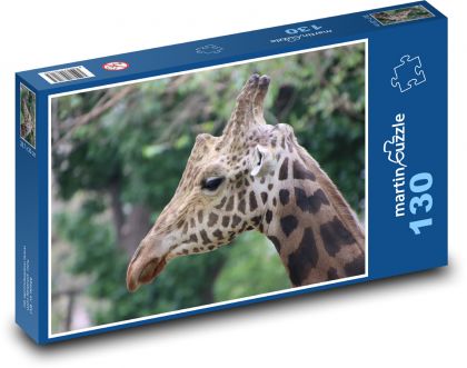 Giraffe - mammal, animal - Puzzle 130 pieces, size 28.7x20 cm 