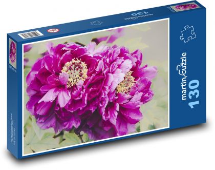 Fialová pivoňka - květina, zahrada - puzzle 130 dílků