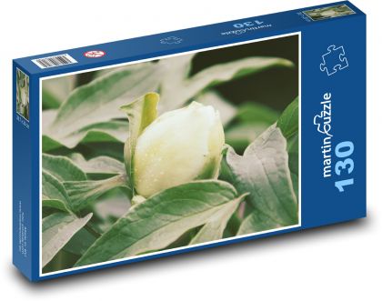 Bílá pivoňka - zahrada, květina - Puzzle 130 dílků, rozměr 28,7x20 cm