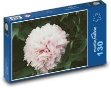 Růžová pivoňka - květ, zahrada Puzzle 130 dílků - 28,7 x 20 cm
