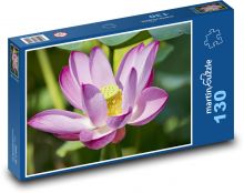 Lotus - květ, okvětní lístky Puzzle 130 dílků - 28,7 x 20 cm