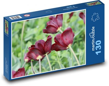 Flowering tulips - flowers, garden - Puzzle 130 pieces, size 28.7x20 cm 
