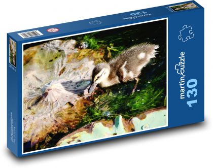 Wild duck - bird, water - Puzzle 130 pieces, size 28.7x20 cm 
