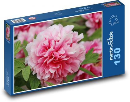 Pink peony - flower, flower - Puzzle 130 pieces, size 28.7x20 cm 