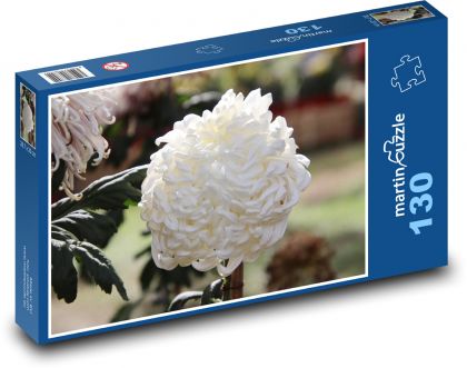 White chrysanthemum - flower, flower - Puzzle 130 pieces, size 28.7x20 cm 