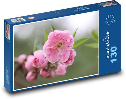 Kvetoucí třešeň - strom, jaro - Puzzle 130 dílků, rozměr 28,7x20 cm