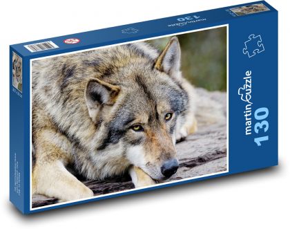 Šedý vlk - zvíře, savec - Puzzle 130 dílků, rozměr 28,7x20 cm