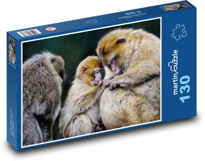 Macaque - monkeys, animals - Puzzle 130 pieces, size 28.7x20 cm 
