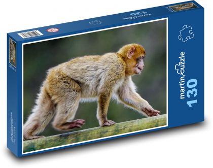Barbarská opice - makak, zvíře - puzzle 130 dílků