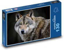 Vlk - divoké zviera, cicavec Puzzle 130 dielikov - 28,7 x 20 cm 