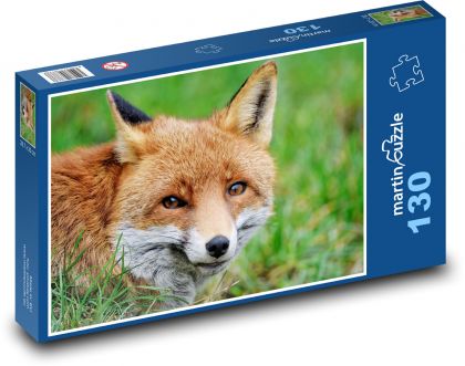 Hrdzavá líška - divoké zviera, cicavec - Puzzle 130 dielikov, rozmer 28,7x20 cm 