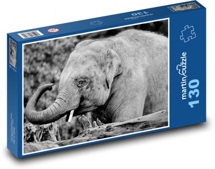 Slon indický - sloník, zviera - Puzzle 130 dielikov, rozmer 28,7x20 cm 