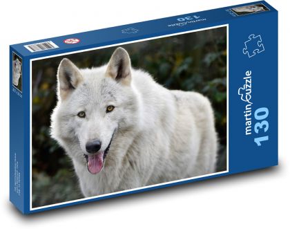 Bílý vlk - divoké zvíře, savec - Puzzle 130 dílků, rozměr 28,7x20 cm