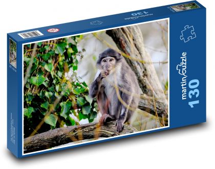 Mangabey - zwierzę, naczelny - Puzzle 130 elementów, rozmiar 28,7x20 cm