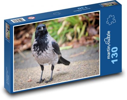 Vrána šedá - pták, zvíře - Puzzle 130 dílků, rozměr 28,7x20 cm